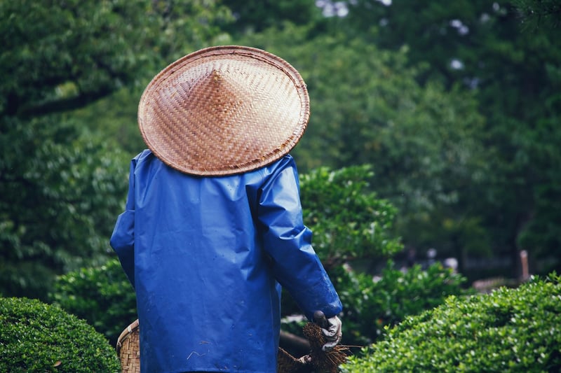 Gardening Enthusiasts